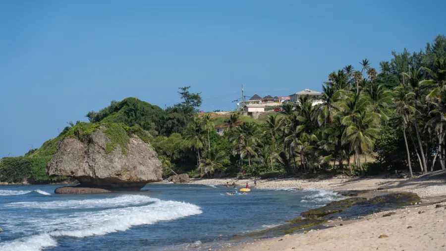 Bathsheba On The East Coast Of Barbados