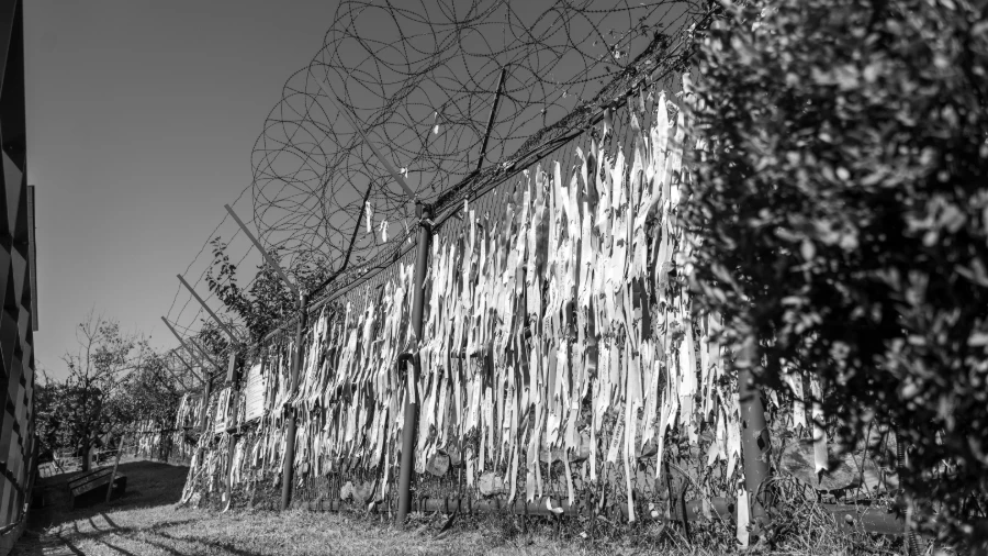 Ribbons In The Dmz Wishing For Unification And Peace